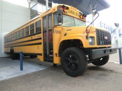 School Bus 