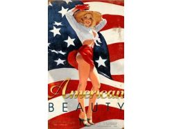 Grande plaque XL  AMERICAN-BEAUTY 